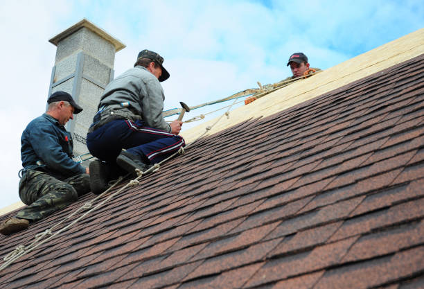 Best Roof Gutter Cleaning  in Venus, TX